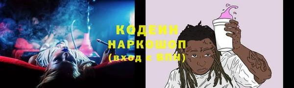 твердый Верхний Тагил