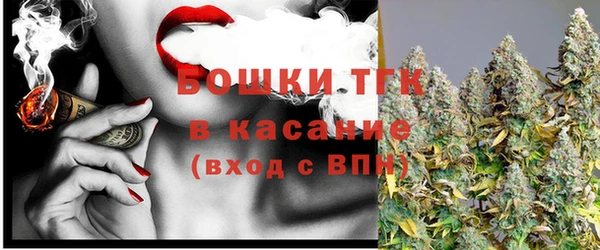 сатива Бородино