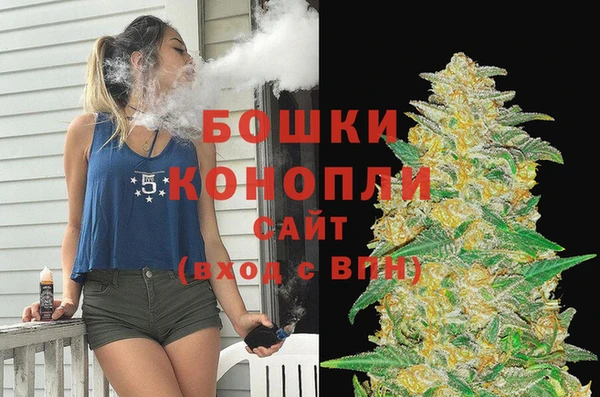 сатива Бородино