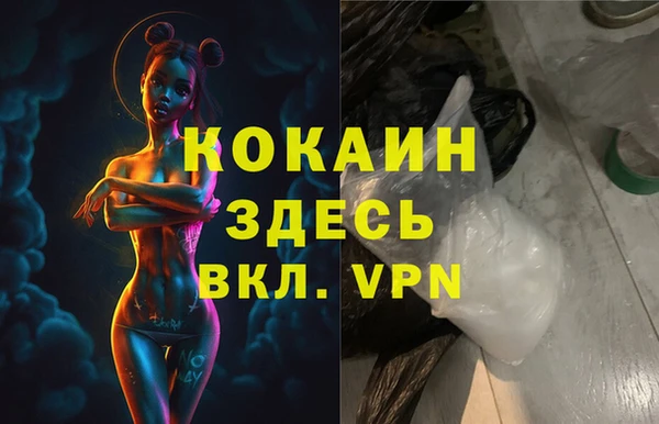 сатива Бородино