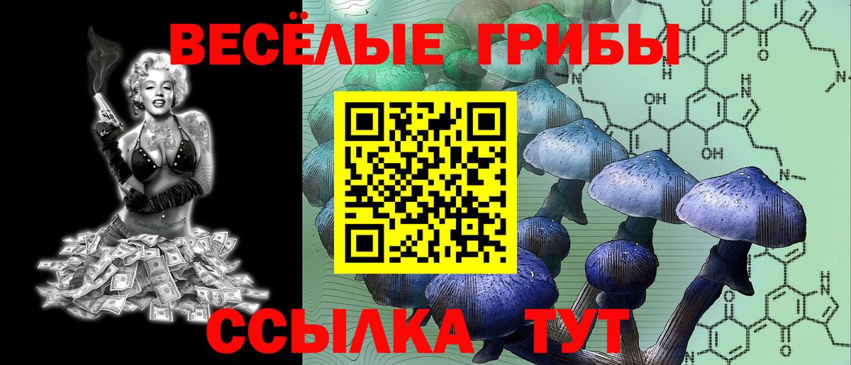 Галлюциногенные грибы Psilocybe  Вход с VPN  Дальнегорск 